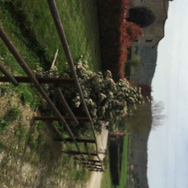Azienda Agrituristica I Tre Casali Magione Exterior photo